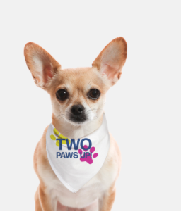 Two Paws Up Small Breed Pet Bandana