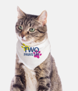 Two Paws Up Small Breed Pet Bandana